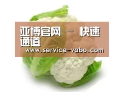 产品名称九