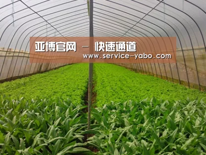 种植基地四