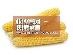 产品名称五