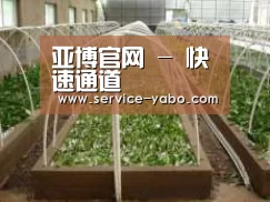 环境展示五