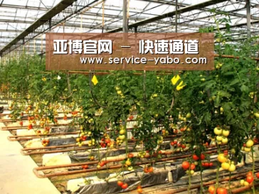种植基地二