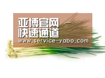 产品名称二