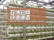 环境展示六