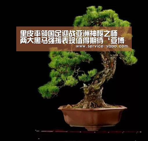 里皮率领国足迎战亚洲神秘之师 两大黑马强援表现值得期待‘亚博官网’(图2) 亚博app